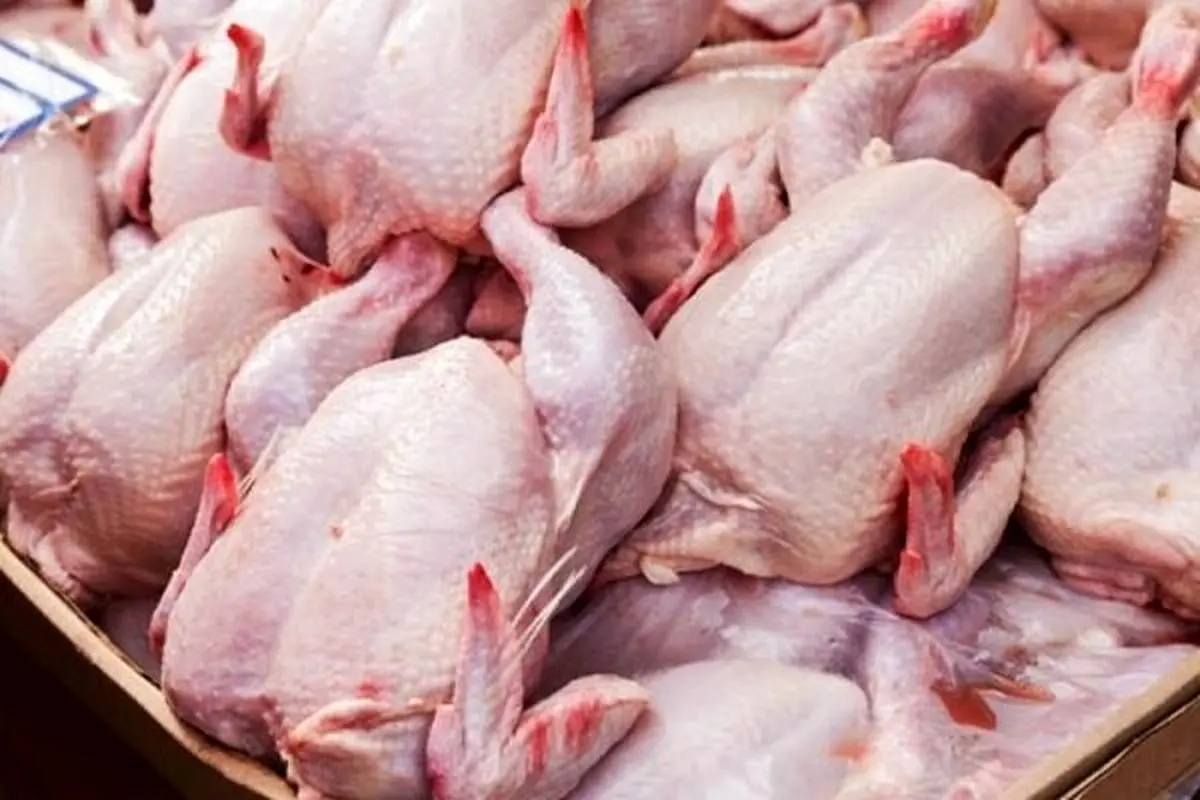 گوشت مرغ از امروز به میزان نیاز وارد بازار می‌شود

