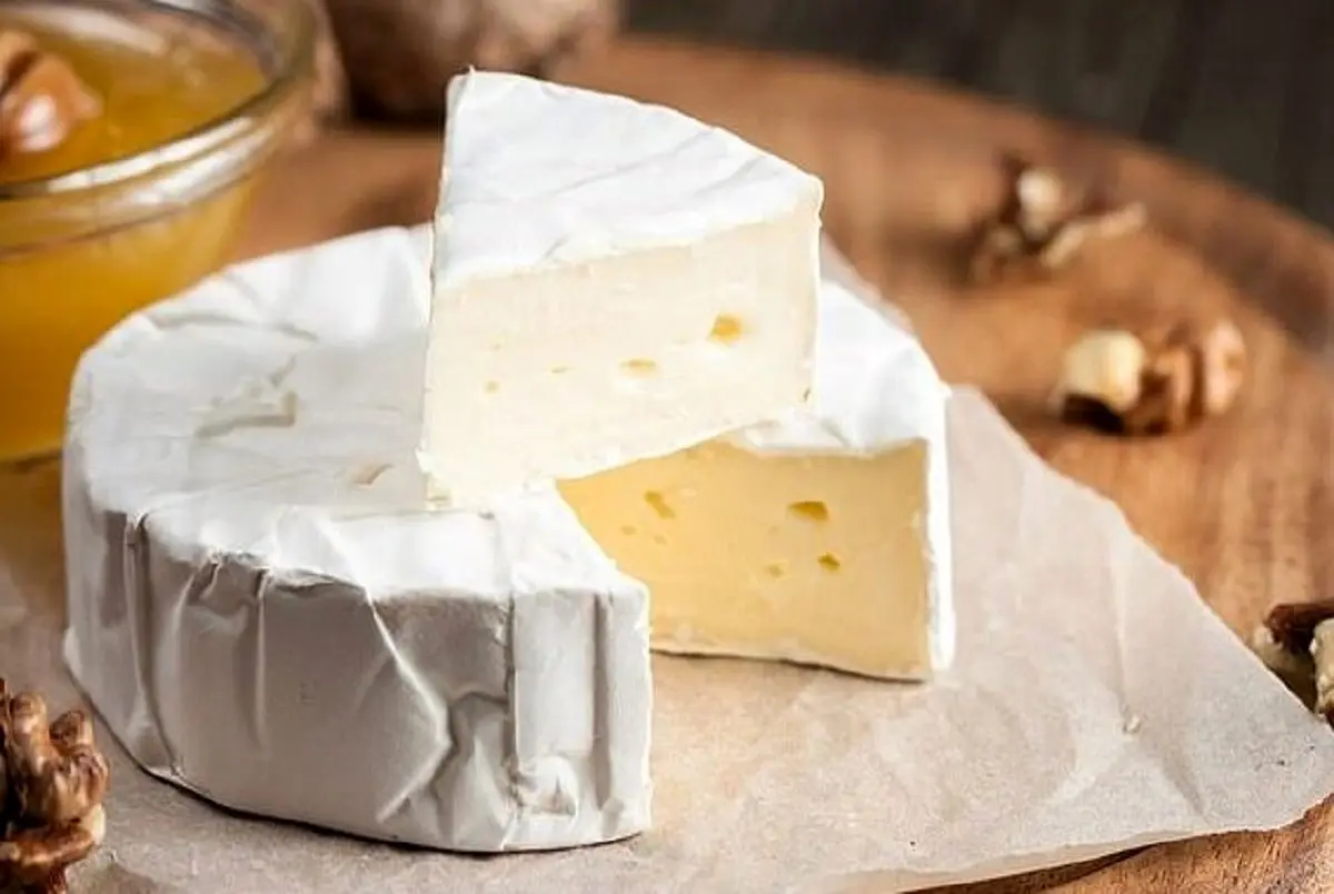 قیمت پنیر | قیمت پنیر 29 تیرماه 1401 | پنیر هم طلا شد