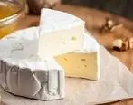 قیمت پنیر | قیمت پنیر 29 تیرماه 1401 | پنیر هم طلا شد