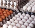 تخم مرغ|قیمت تخم‌مرغ همچنان کمتر از نرخ مصوب است