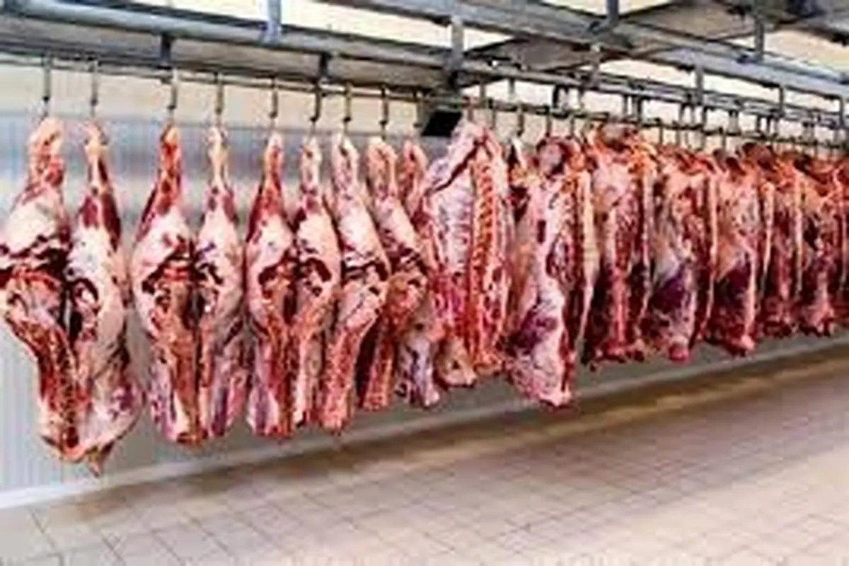 تغییر باور نکردنی قیمت گوشت