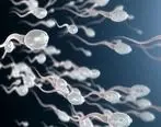 درمان ناباروری مردان با تغییر در اسپرم ها/ ناباروری آقایان درمان می شود