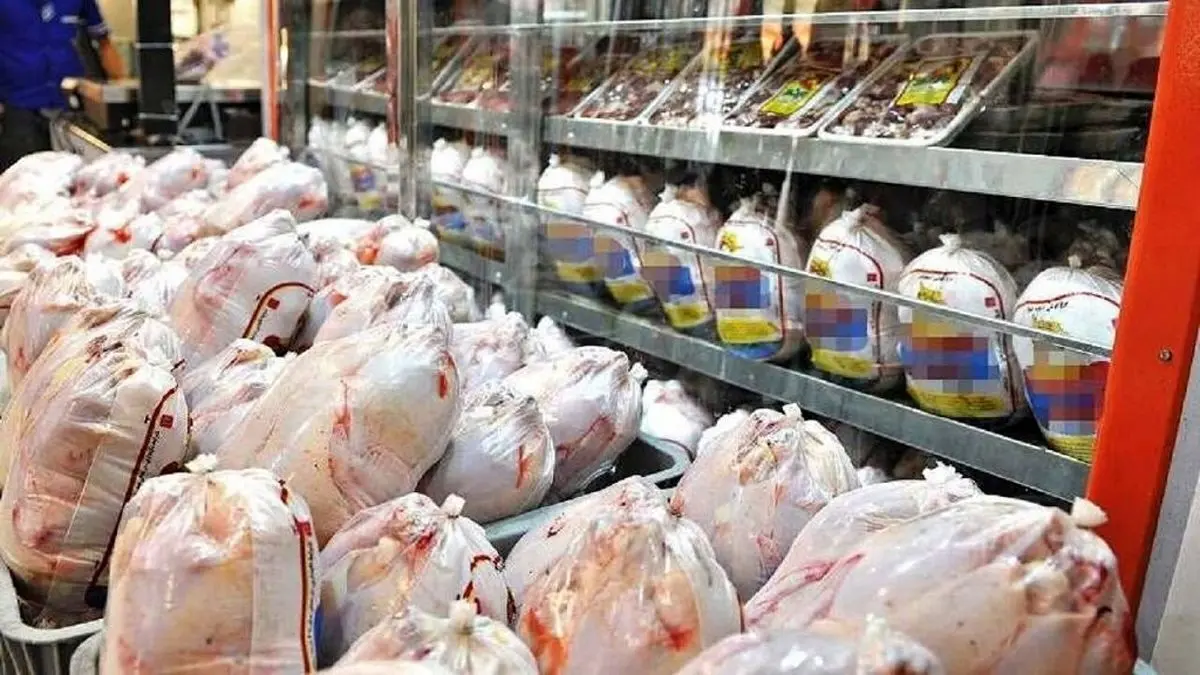 رکود بازار قیمت مرغ را پر پر کرد | قیمت مرغ امروز 22 خرداد 1401