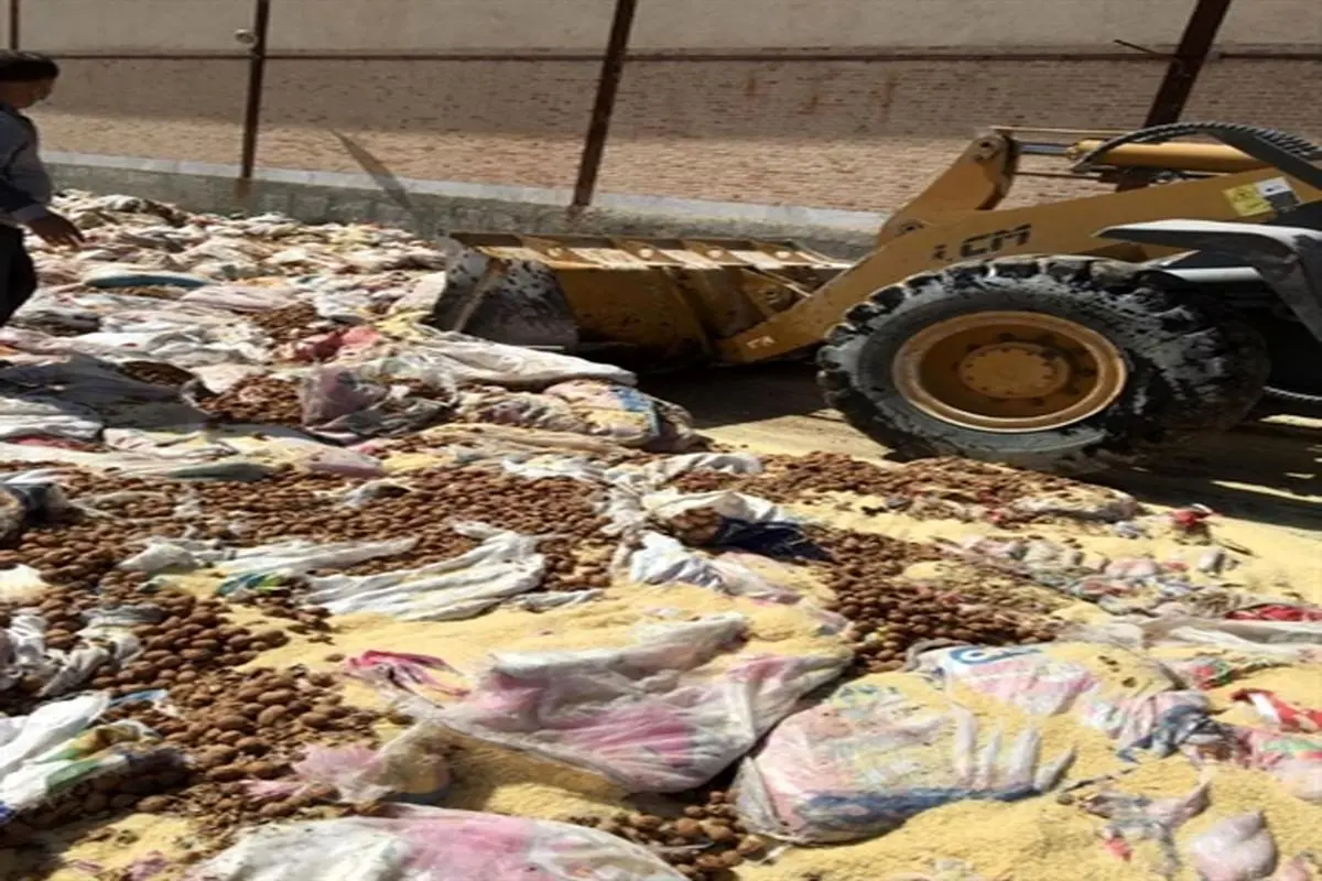 انهدام بیش از 60 تن انواع کالای قاچاق توسط اموال تملیکی استان بوشهر


