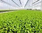 حمایت 11 میلیاردی بانک کشاورزی از راه اندازی مجموعه تولیدی ایران نشاء در البرز


