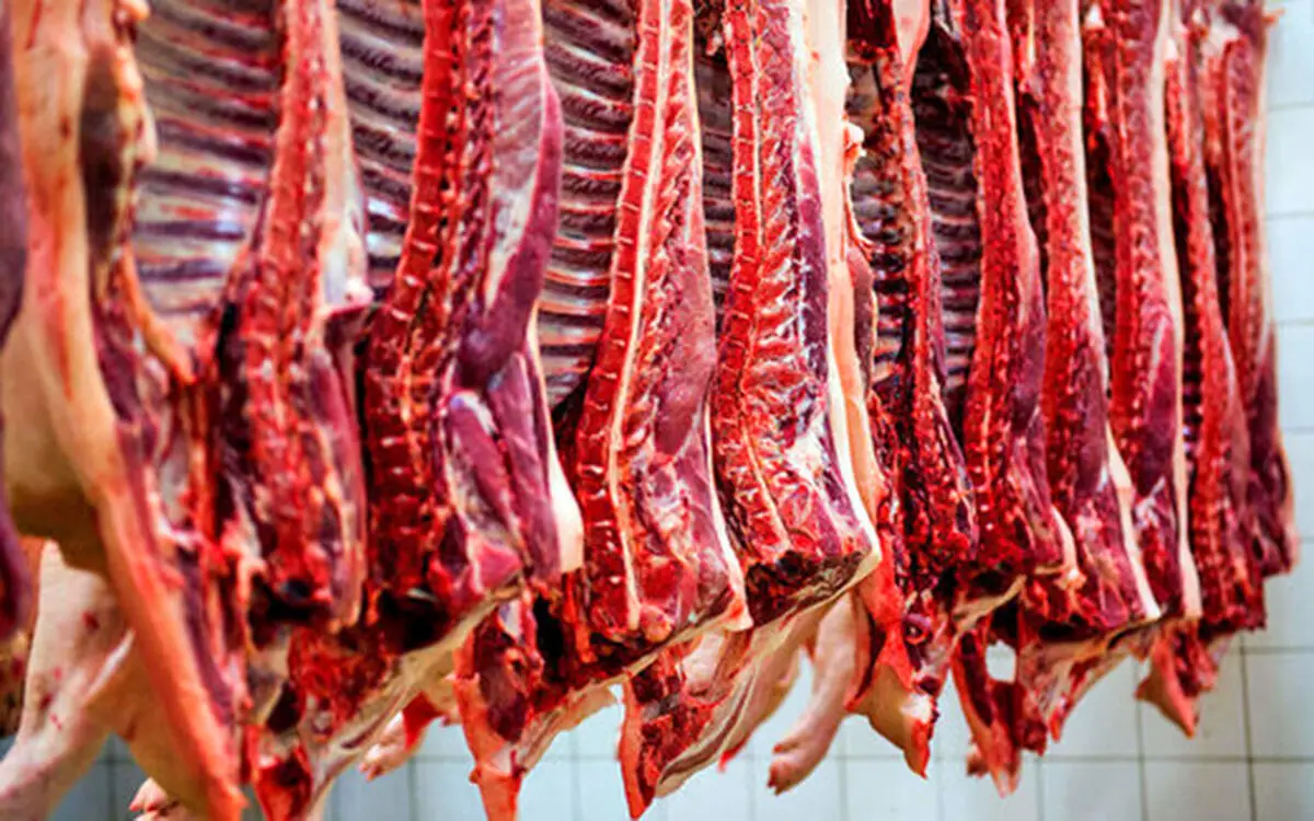 قیمت گوشت | قیمت گوشت 13 مردادماه 1401 | قیمت گوشت قرمز امروز چند شد؟