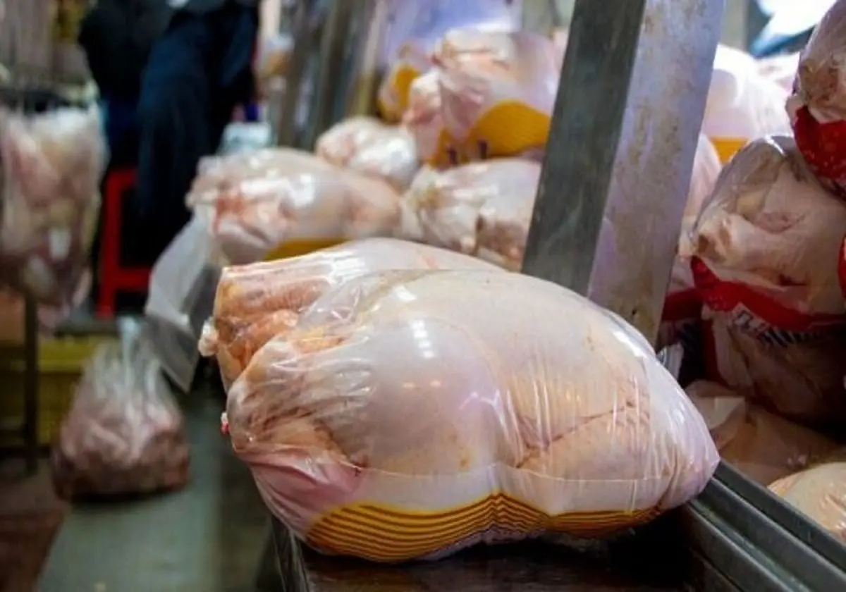 افت شدید قیمت مرغ | نابسامانی در قیمت مرغ گریبان مصرف کننده را گرفت