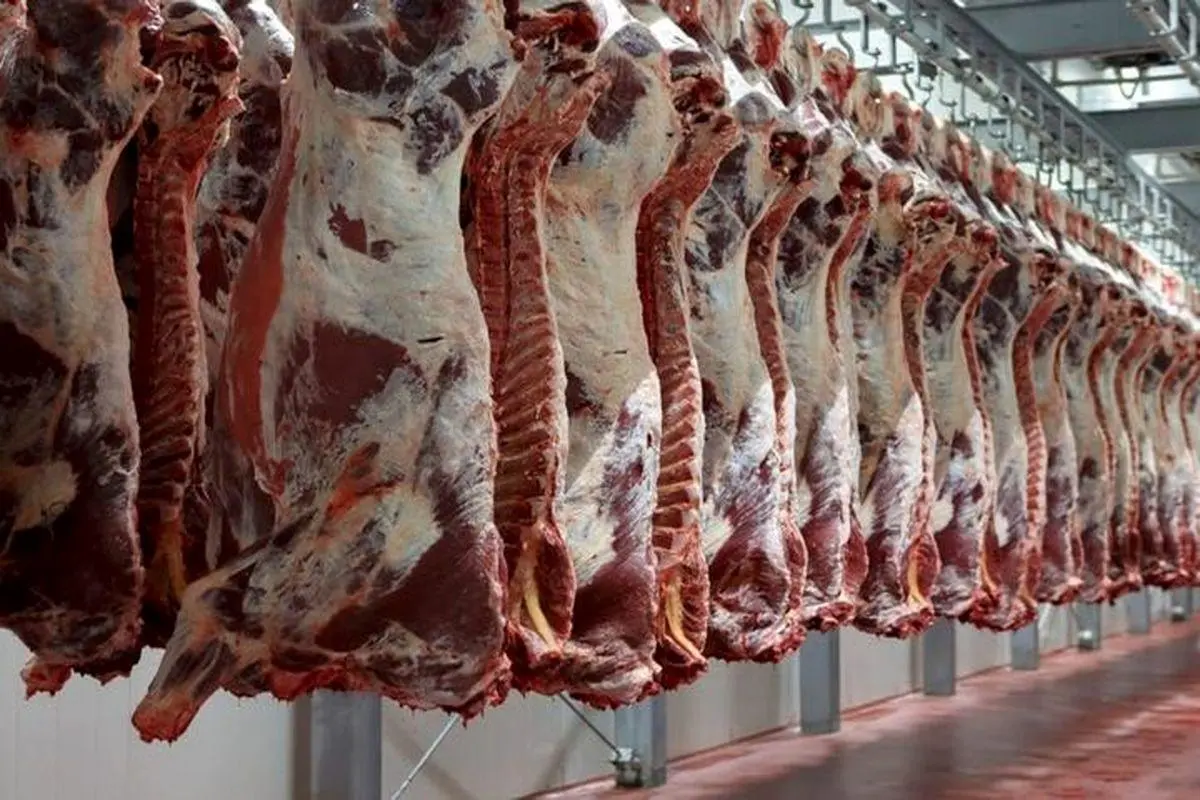 اعلام قیمت گوشت قرمز در بازار امروز | تغییرات قیمت گوشت