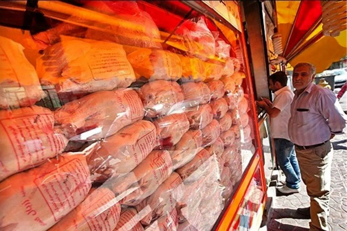 آغاز کاهش قیمت‌ها در بازار مرغ | علت این کاهش قیمت چیست؟ 