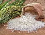 برنج ایرانی و خارجی ارزان می شود