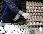 قیمت تخم مرغ از ۴ هزار تومان عبور کرد / قیمت تخم مرغ بسته بندی در بازار