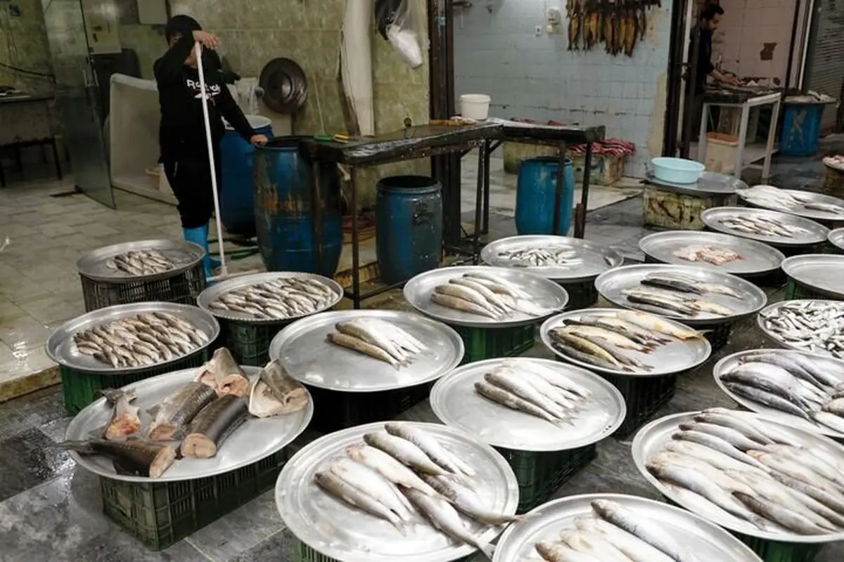 اخبار اقتصادی | آخرین قیمت ماهی در بازار | جدول قیمت انواع ماهی