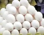 قیمت روز تخم مرغ گران می شود ؟