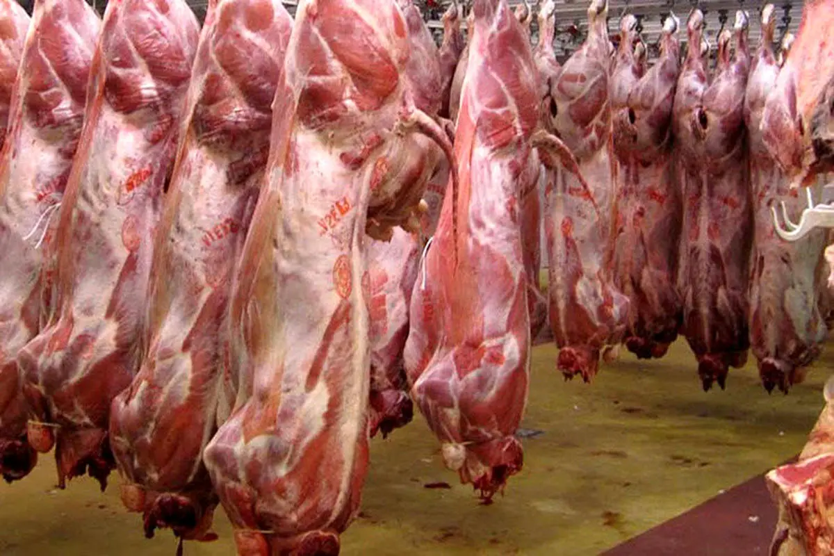 (قیمت گوشت) قیمت انواع گوشت گوسفندی بسته بندی 