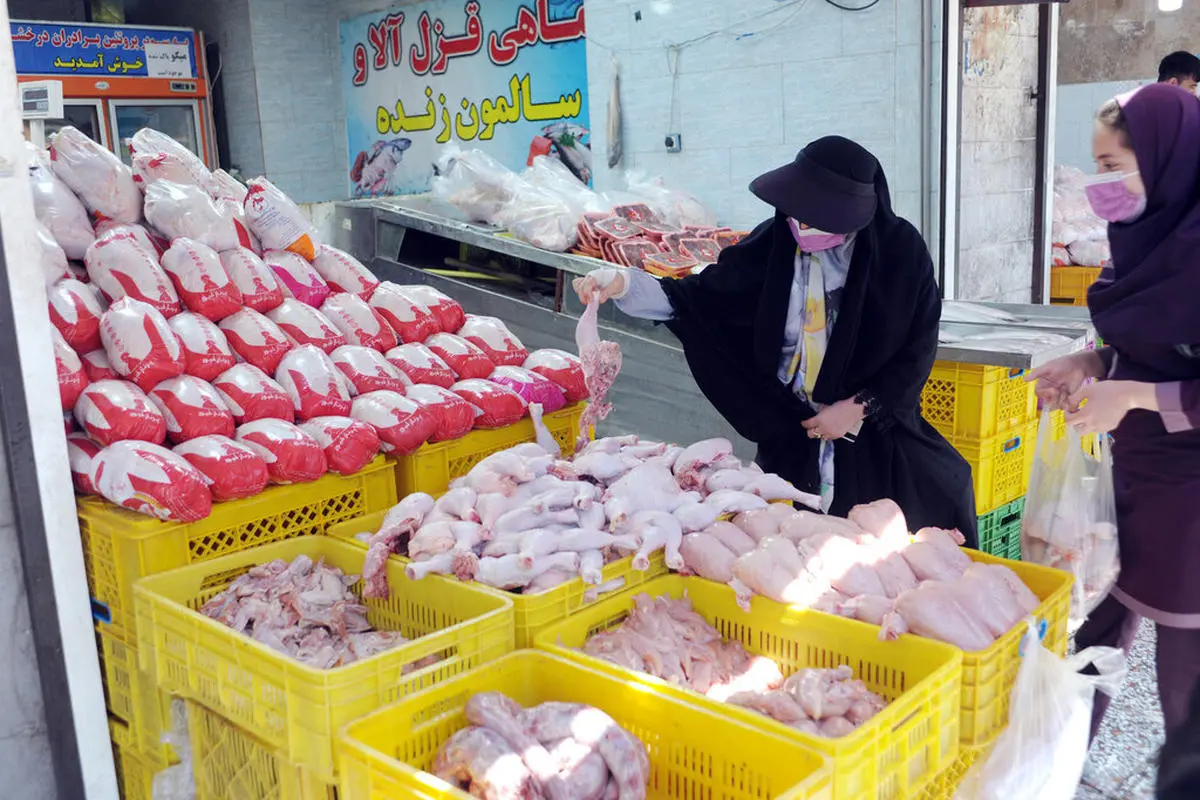 رکود بازار قیمت مرغ را پر پر کرد | قیمت مرغ امروز 7 خرداد 1401