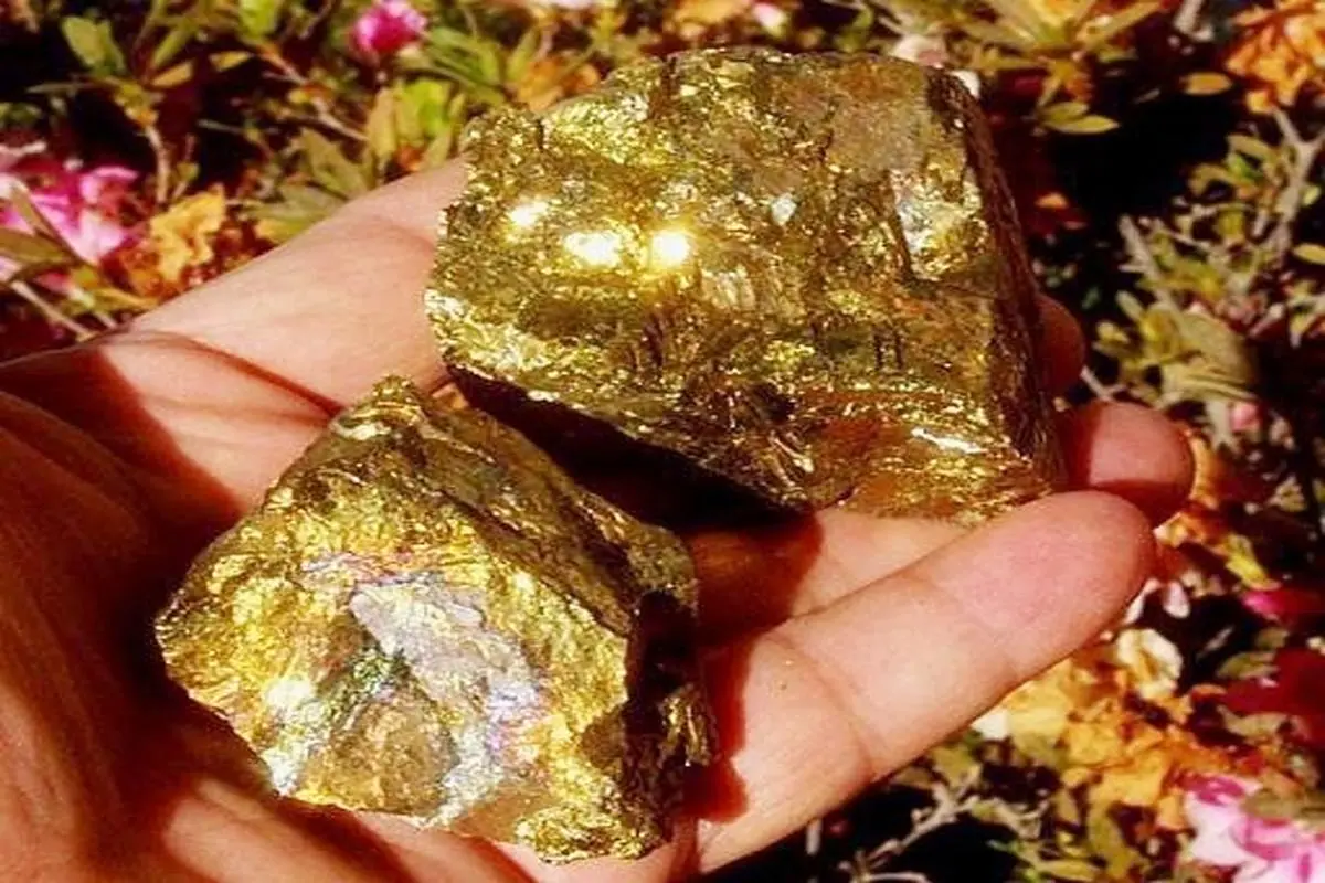 طلای زرشوران با رکوردی دیگر آمد/تولید 98.6 کیلوگرم شمش طلای 24 عیار با خلوص 997 در نخستین ماه سال 1400