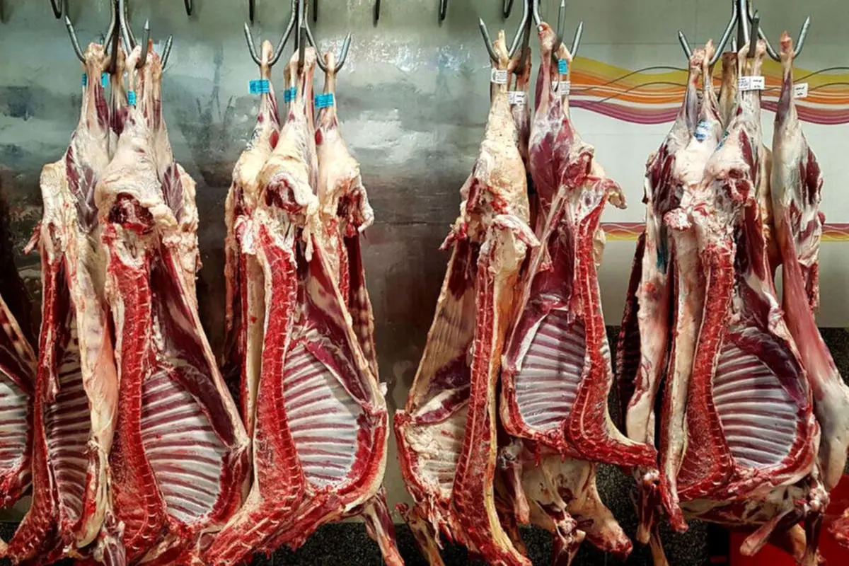قیمت جدید گوشت قرمز در بازار | ایران گوشت کدام کشور را بیشتر مصرف می‌کنند 