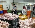 قیمت مرغ در سراشیبی بی پولی افتاد | قیمت مرغ امروز 29 اردیبهشت 1401