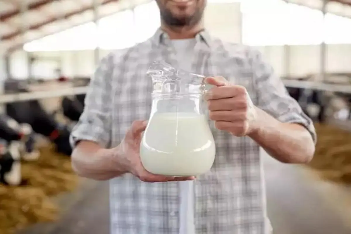 ۵ افسانه نادرست درباره شیر | همه مضرات شیر که واقعیت ندارد