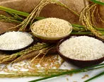 جدیدترین قیمت برنج | قیمت برنج 27 مرداد 1401 | قیمت برنج ایرانی و خارجی امروز چند؟