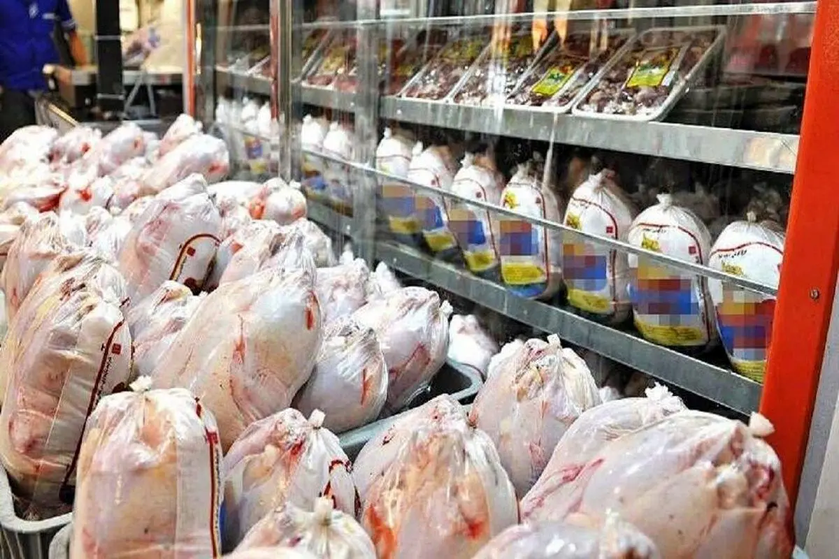  اعلام قیمت امروز مرغ در بازار | تغییرات قیمت مرغ 