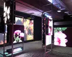 ال‌جی از پروژه های هنری، با الهام از نمایشگرهای OLED در سراسر لندن رونمایی کرد
