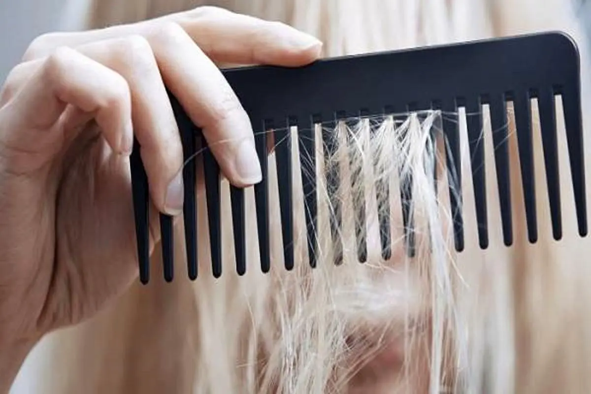 دلایل چرب شدن موی سر چیست؟| راه حل چرب شدن موی سر 
