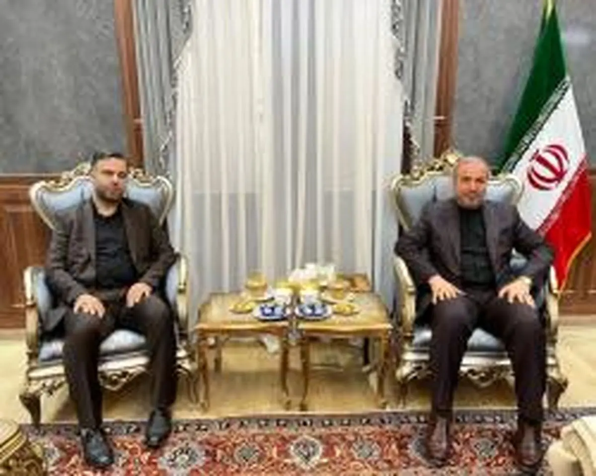 دیدار مدیرعامل بیمه میهن با سفیر ایران در عراق