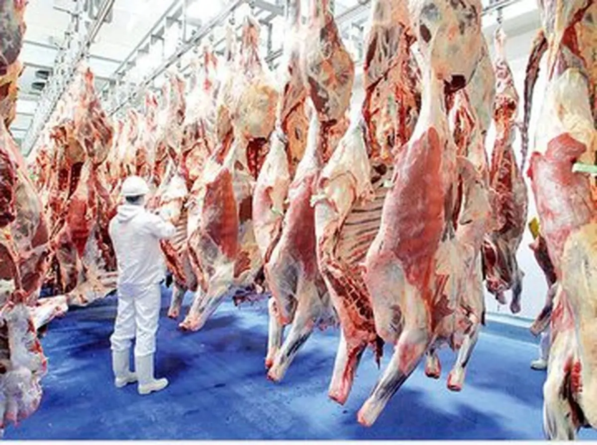 سقوط آزاد مصرف گوشت در کشور