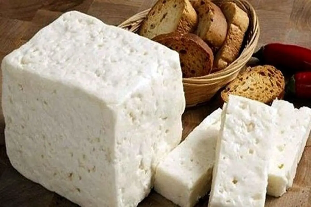 افزایش قیمت مجدد پنیر | ۲۰ درصد افزایش قیمت لبنیات فقط در چن ماه