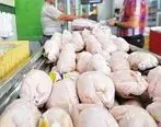 تقاضا قیمت مرغ را پایین کشاند | قیمت مرغ امروز 15 خرداد 1401
