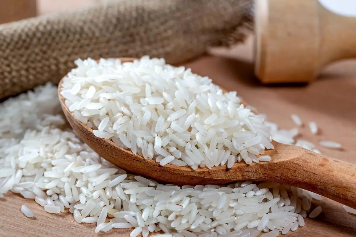 (برنج) کاهش ۴۰ درصدی قیمت برنج ایرانی | قیمت جدید برنج خارجی اعلام شد