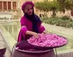 شبنم قلی خانی در حال پختن مربای گل سرخ در دیگ مسی بزرگ +ویدئو