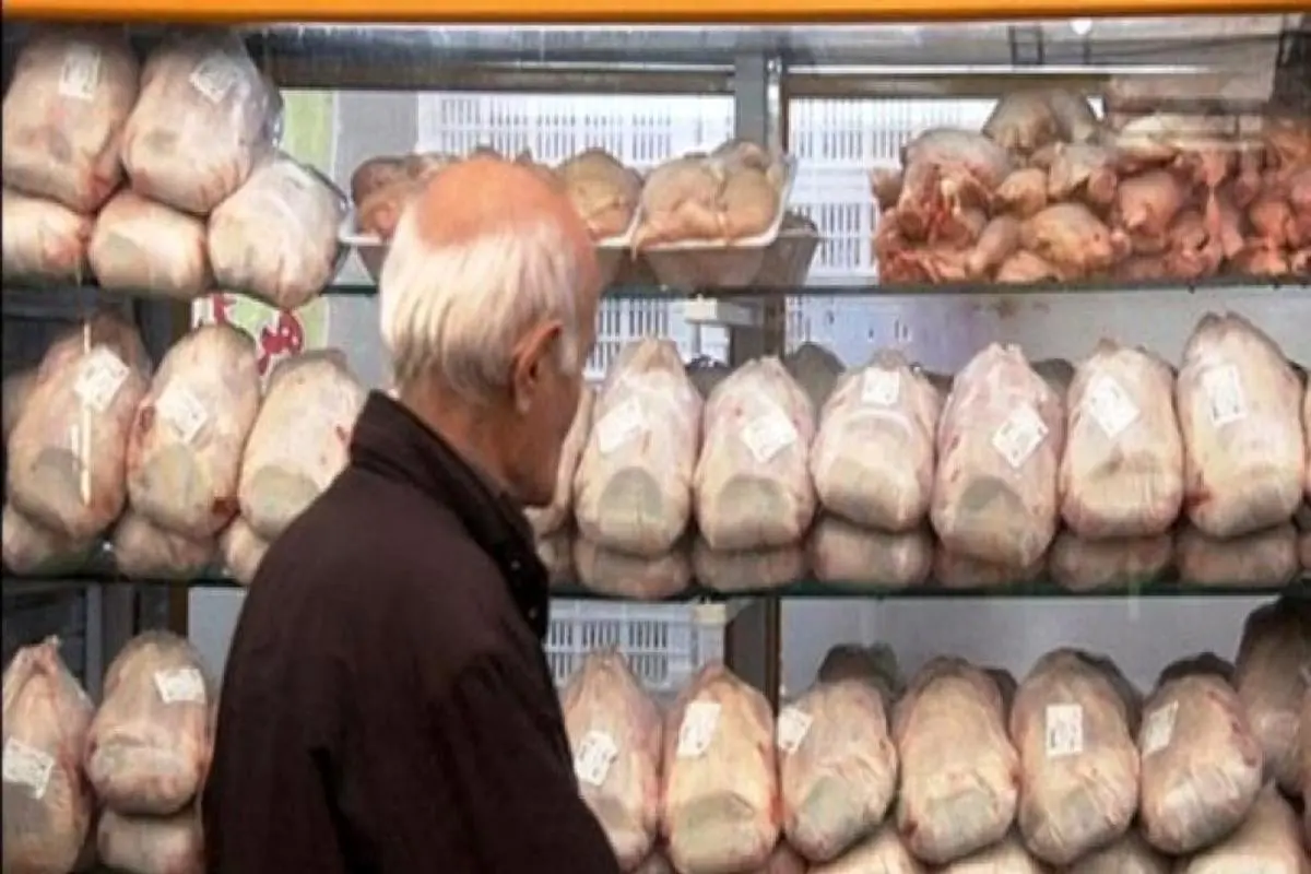 رکود بازار قیمت مرغ را پر پر کرد | قیمت مرغ امروز 18 مهر 1401