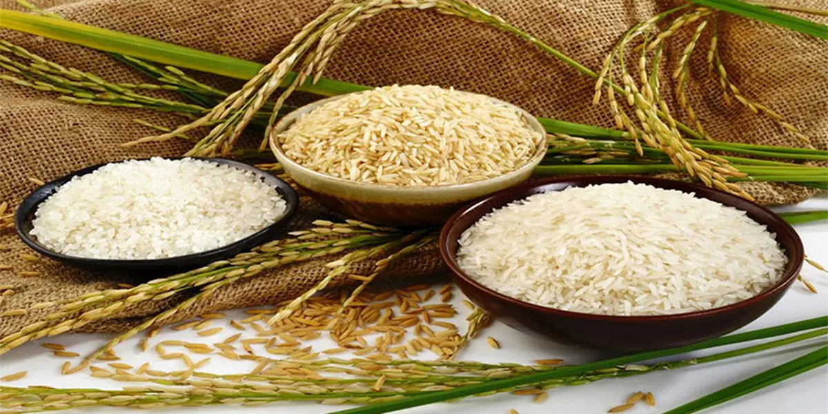 برنج ایرانی زینت بخش سفره های ایرانی
