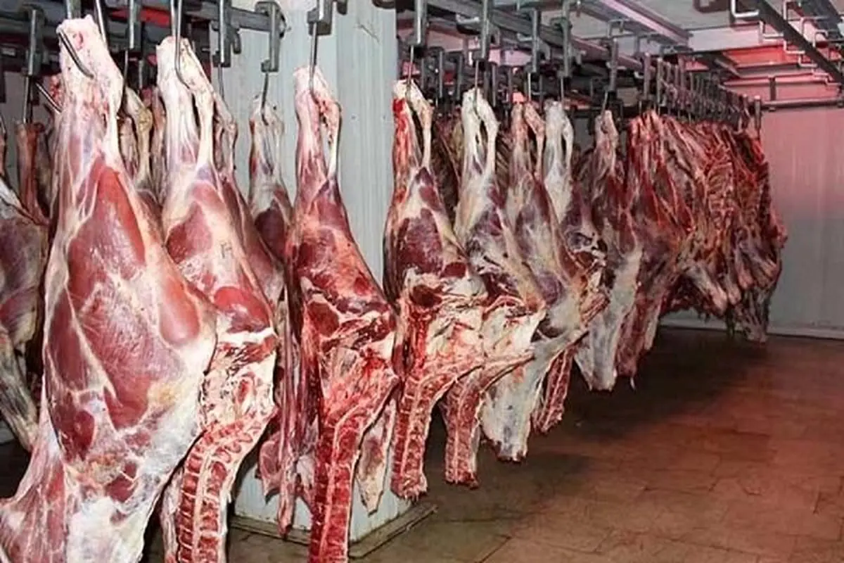 قیمت گوشت قرمز در بازار سه شنبه | چرا گوشت قرمز گران شد؟
