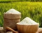 قیمت برنج از ایرانی تا خارجی | جدیدترین قیمت برنج را اینجا بخوانید
