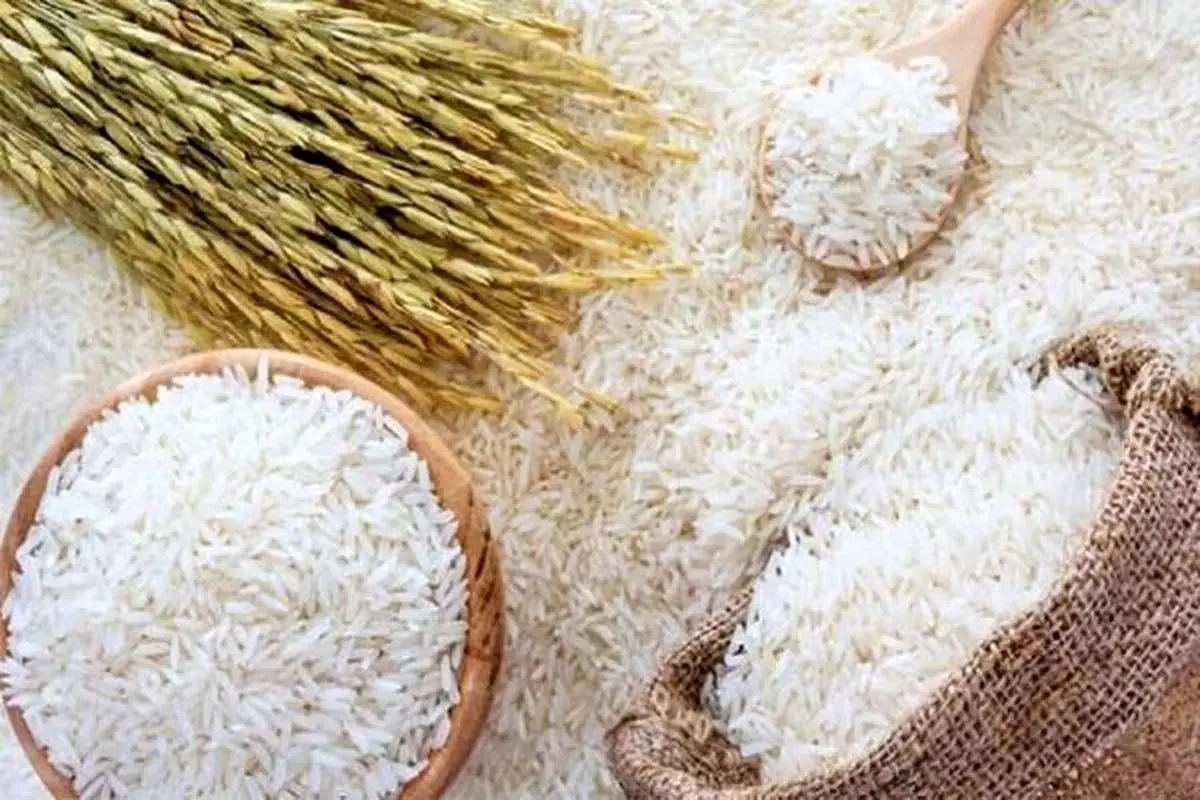 اخبار اقتصادی| کاهش قیمت برنج | قیمت انواع برنج موجود در بازار