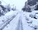 ویدئو |بارش برف در اردبیل به نیم متر رسید
