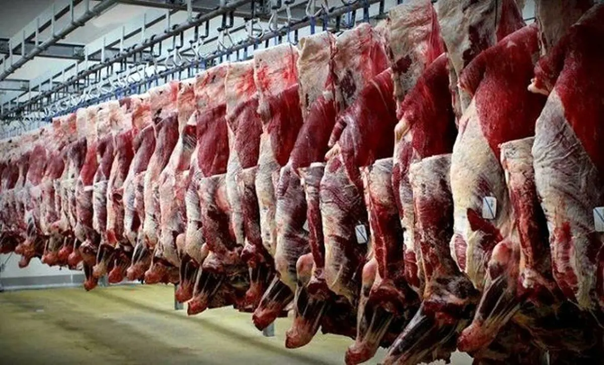 قیمت گوشت | قیمت گوشت 5 مردادماه 1401 | قیمت گوشت گوسفندی و گوساله امروز چند؟