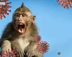 آخرین وضعیت آبله میمونی در کشور | آمار جهانی آبله میمونی چه می گوید؟