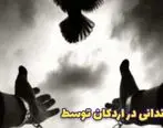 آزادی ۲ زندانی در اردکان توسط کارگران فولاد غدیر ایرانیان همزمان با میلاد امام رضا(ع)