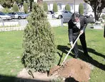 کاشت درخت توسط مدیرعامل بانک ملی ایران به مناسبت روز درختکاری

