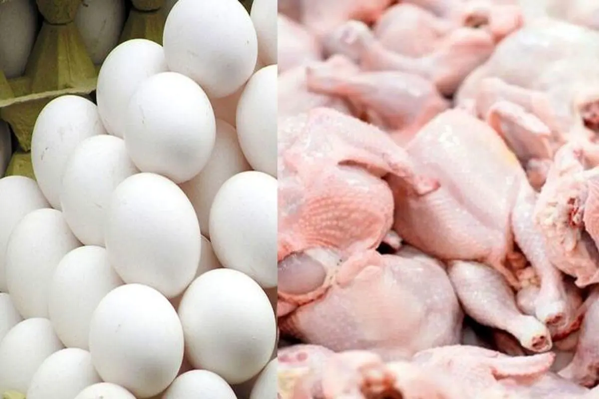 آخرین قیمت گوشت مرغ در بازار | قیمت تخم مرغ تغییر کرد