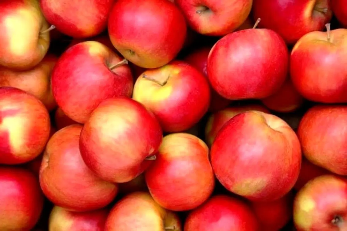 36 بیماری که سیب درمان می کند | برای کاهش وزن سیب بخورید