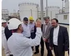 بازدید مدیرکل سازمان حفاظت محیط زیست استان بوشهر از مبین انرژی خلیج فارس