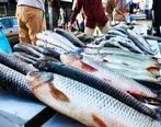 اخبار اقتصادی| به روزترین قیمت ماهی در بازار امروز