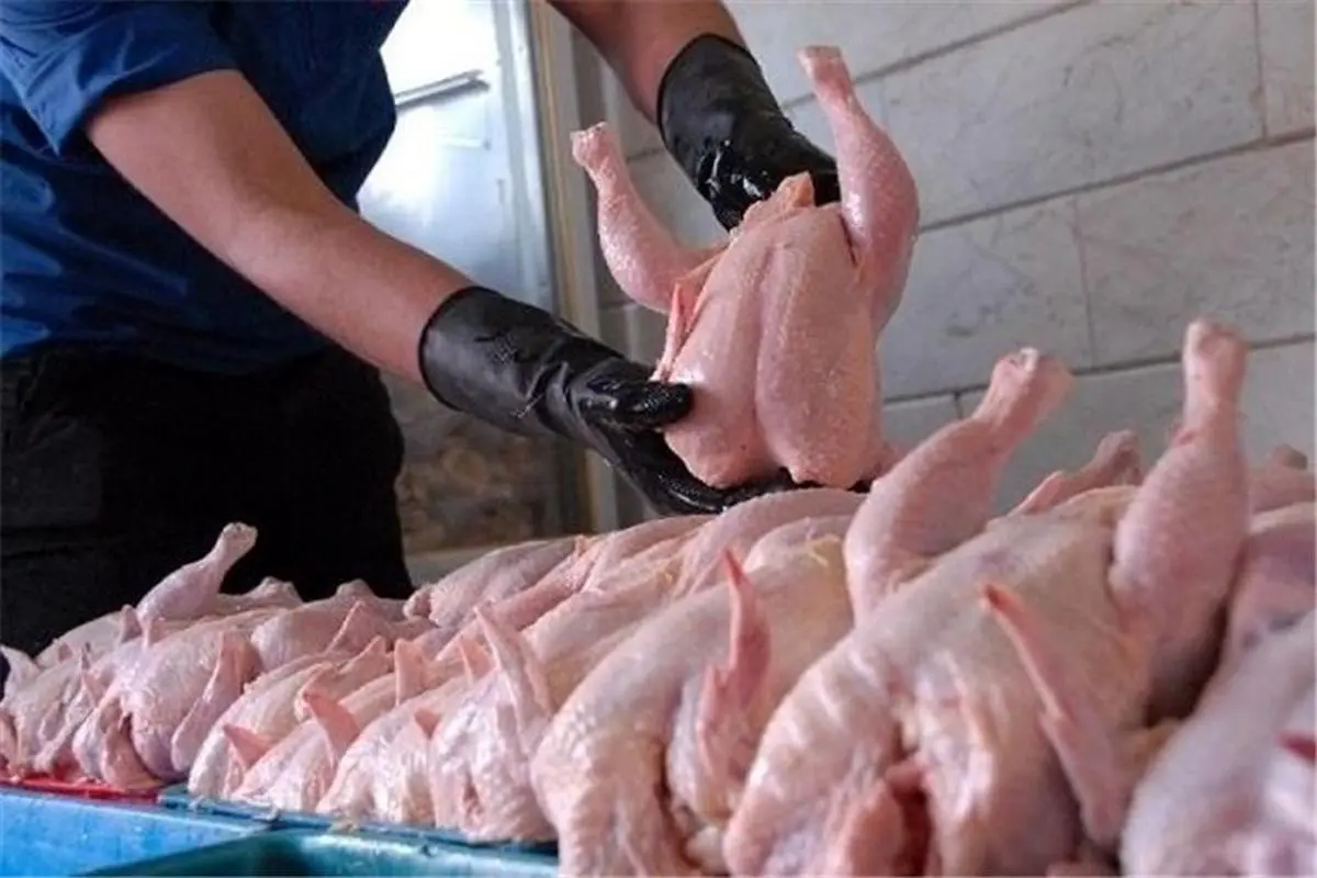 کاهش قیمت مرغ در میادین و بازار