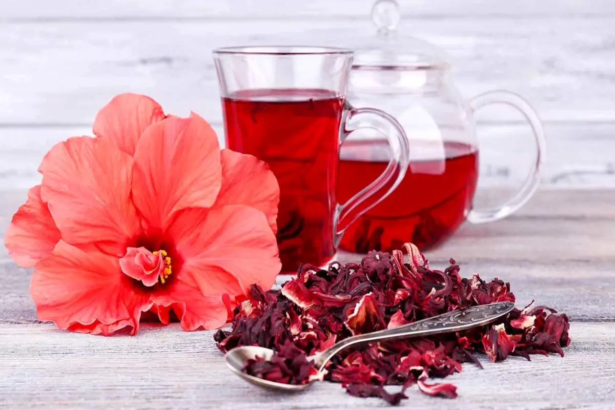 10 خاصیت چای ترش برای چربی خون، جوش صورت و لاغری