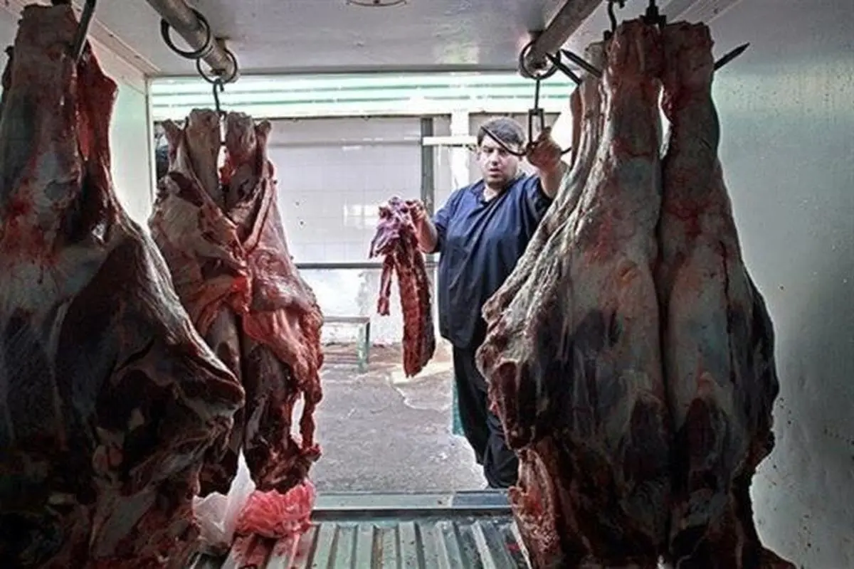 قیمت جدید گوشت در بازار اعلام شد | بازگشت قیمت گوشت به نرخ سال گذشته